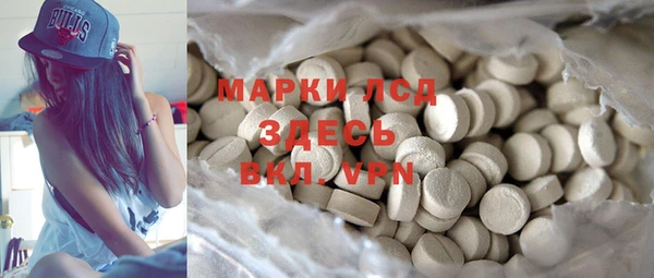 мяу мяу мука Дмитриев