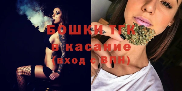 мяу мяу мука Дмитриев