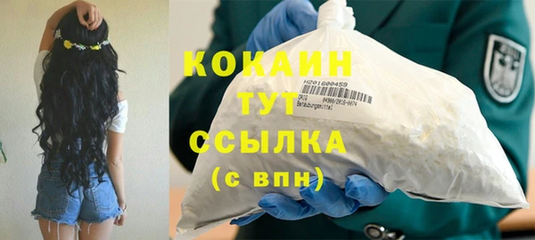 гашик Дмитров