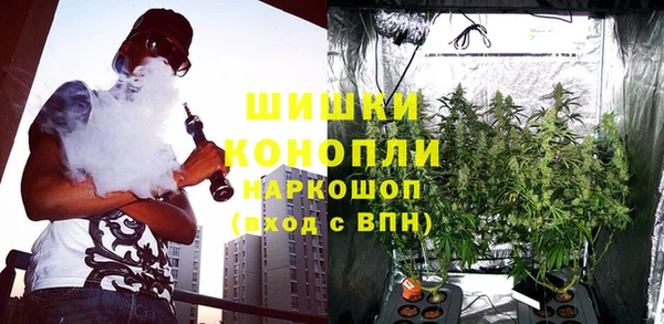 гашик Дмитров