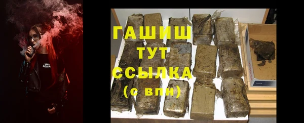 гашик Дмитров
