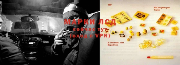 гашик Дмитров