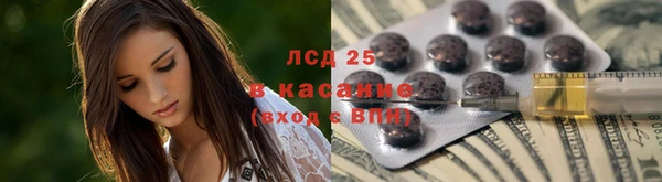 мяу мяу мука Дмитриев
