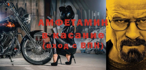 гашик Дмитров