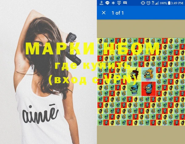 гашик Дмитров
