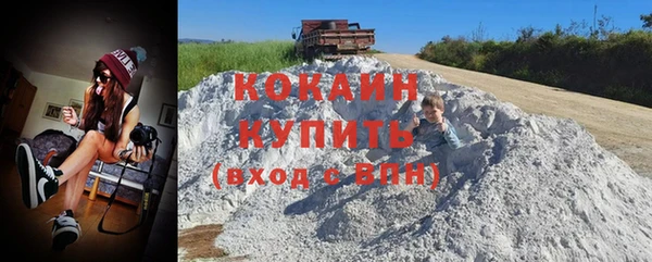 мяу мяу мука Дмитриев