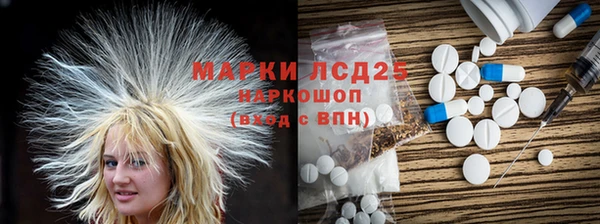 мяу мяу мука Дмитриев