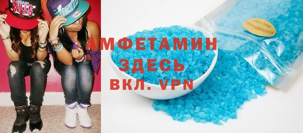гашик Дмитров