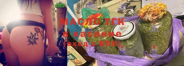 гашик Дмитров