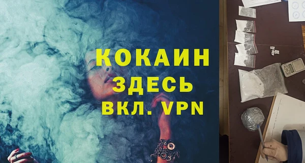 гашик Дмитров