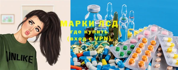 мяу мяу мука Дмитриев