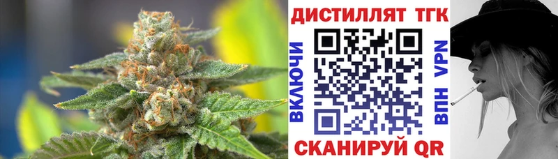 ТГК концентрат  Купить  Кондрово 