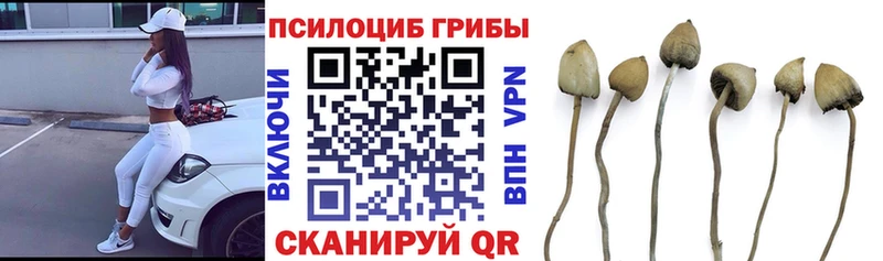 Галлюциногенные грибы ЛСД  Купить  Кондрово 